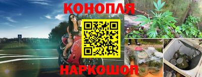 молекула духа Будённовск