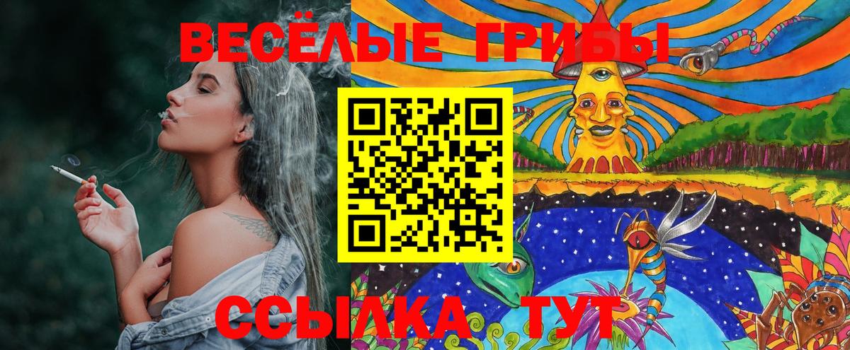 Галлюциногенные грибы мухоморы  Вход с VPN  Пенза 